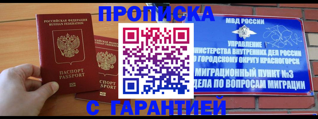 прописка в Ногинске